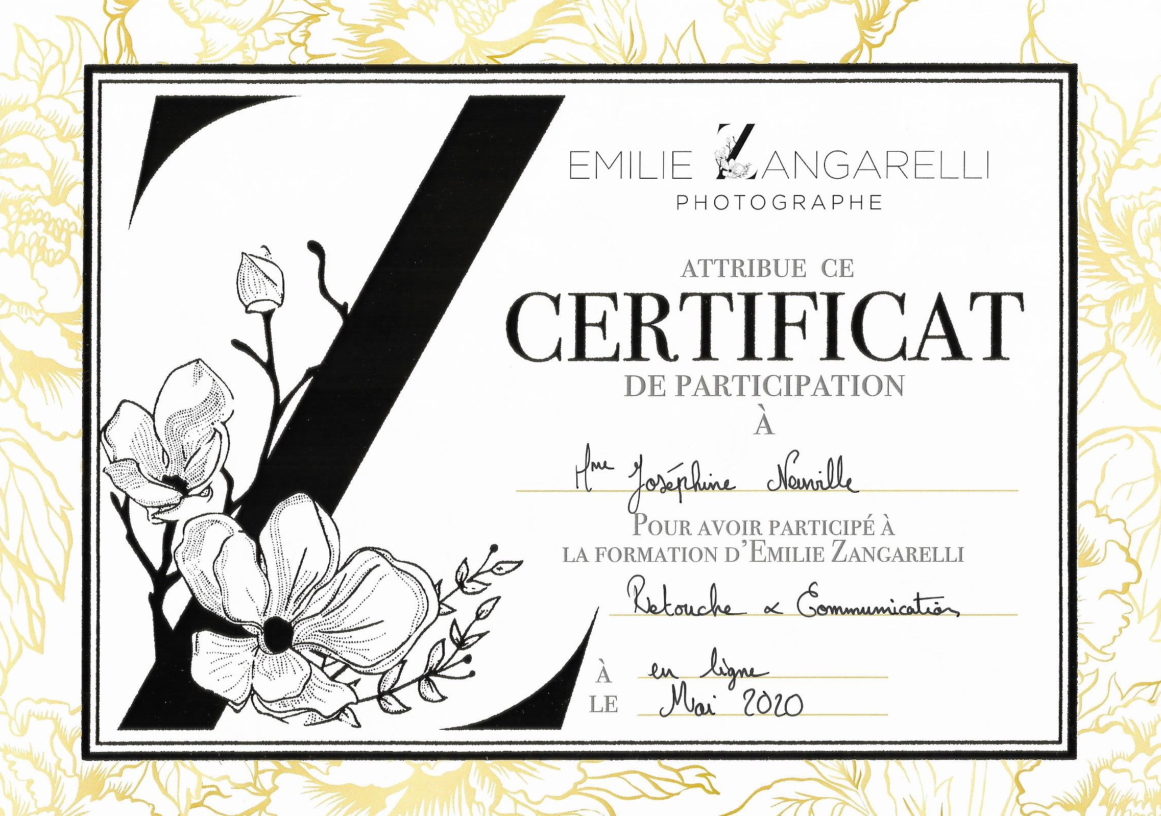 diplome emilie zangarelli